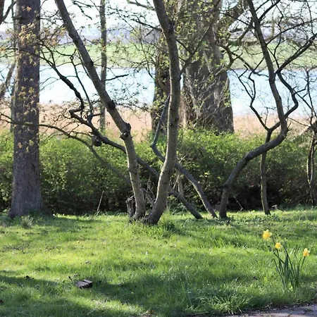 House In Magical Surroundings * סטגה